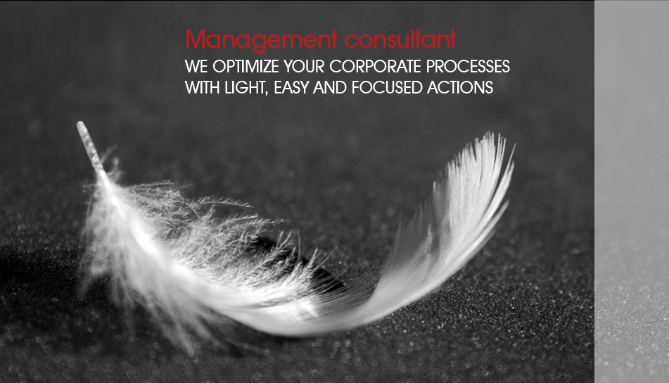 MANAGEMENT CONSULTANT - WE OPTIMIZE YOUR CORPORATE PROCESSES WITH LIGHT, EASY AND FOCUSED ACTIONS